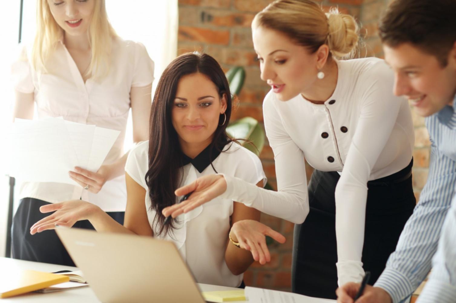 Professional consultation showing financial planning discussion and strategy development
